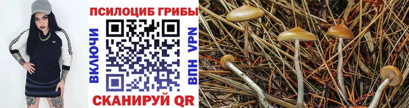 это формула  Анива  Галлюциногенные грибы мухоморы  купить   блэк спрут  